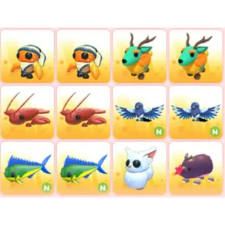 BUNDLE PET X12