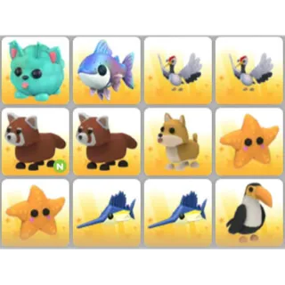 BUNDLE PET X12