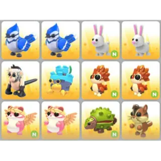 BUNDLE PET X12