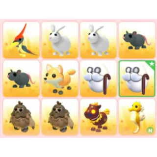 BUNDLE PET X12