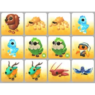 BUNDLE PET X12