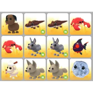 BUNDLE PET X12