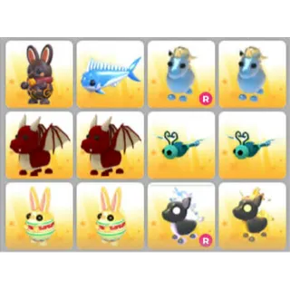 BUNDLE PET X12