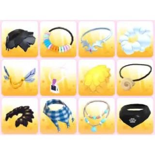 BUNDLE PET WEAR X12