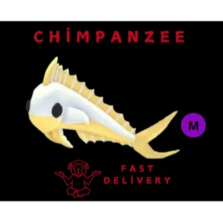 GOLDEN MAHI-MAHI MEGA