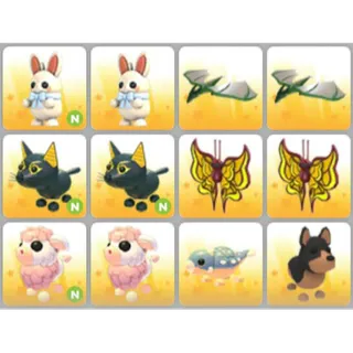 BUNDLE PET X12