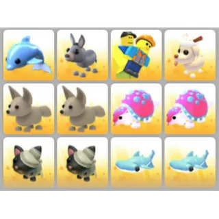 BUNDLE PET X12
