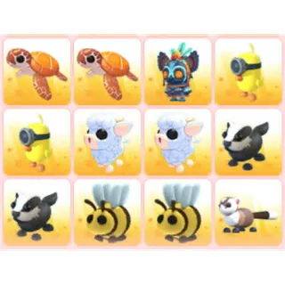 BUNDLE PET X12