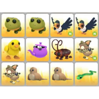BUNDLE PET X12