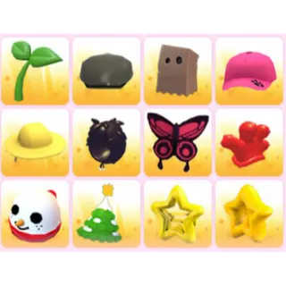 BUNDLE PET WEAR X12