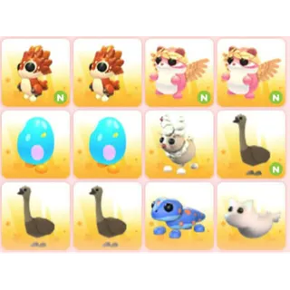 BUNDLE PET X12