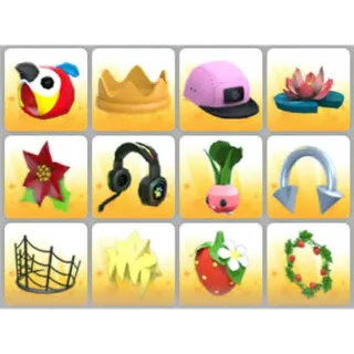 BUNDLE PET WEAR X12