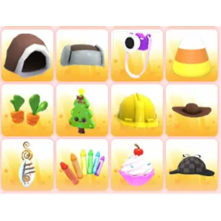 BUNDLE PET WEAR X12