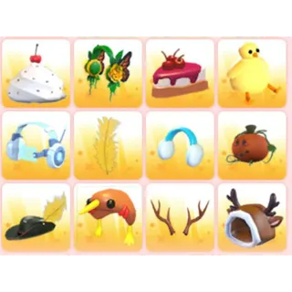 BUNDLE PET WEAR X12