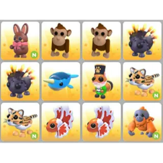 BUNDLE PET X12