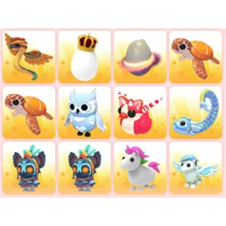 BUNDLE PET X12