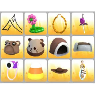 BUNDLE PET WEAR X12