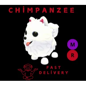 SAMOYED MR