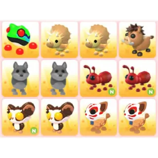 BUNDLE PET X12
