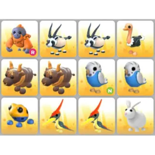 BUNDLE PET X12