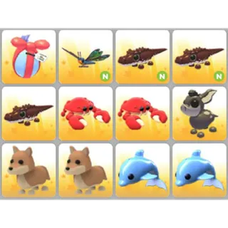 BUNDLE PET X12