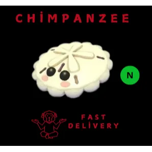 White Sand Dollar Neon