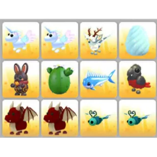 BUNDLE PET X12
