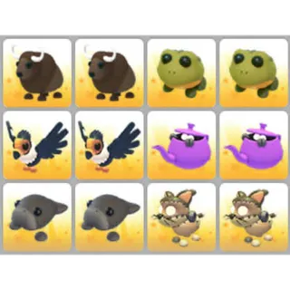 BUNDLE PET X12