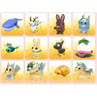 BUNDLE PET X12