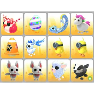 BUNDLE PET X12