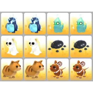 BUNDLE PET X12
