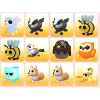 BUNDLE PET X12