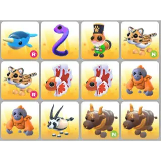 BUNDLE PET X12