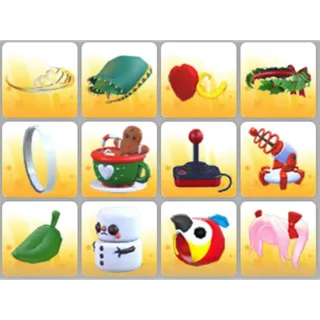 BUNDLE PET WEAR X12