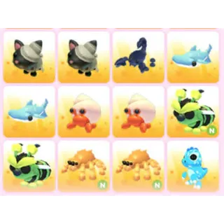 BUNDLE PET X12