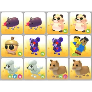 BUNDLE PET X12