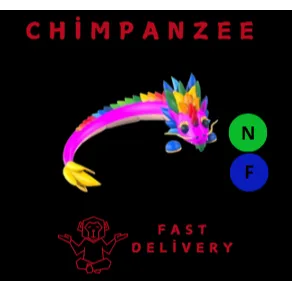 RAINBOW DRAGON NF