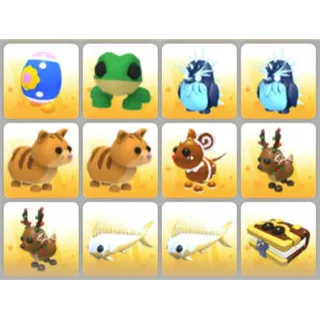 BUNDLE PET X12