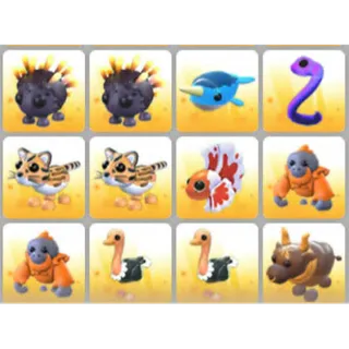 BUNDLE PET X12