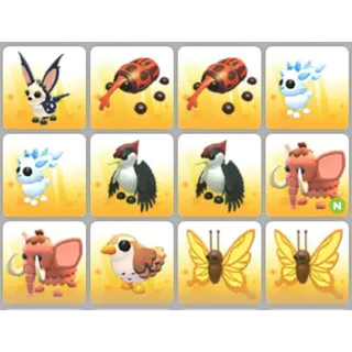 BUNDLE PET X12