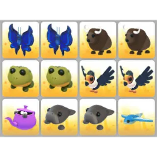 BUNDLE PET X12