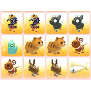BUNDLE PET X12
