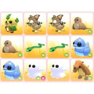 BUNDLE PET X12