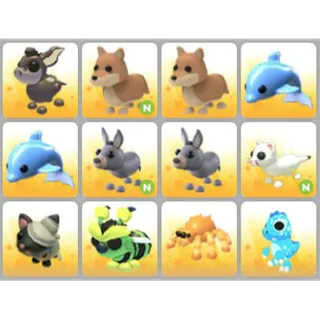 BUNDLE PET X12