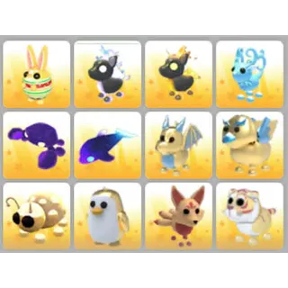 BUNDLE PET X12