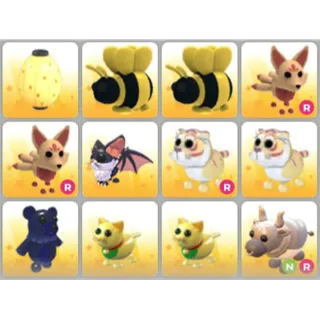 BUNDLE PET X12