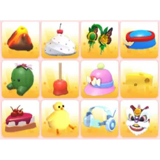 BUNDLE PET WEAR X12