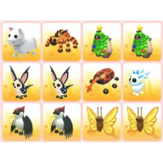 BUNDLE PET X12