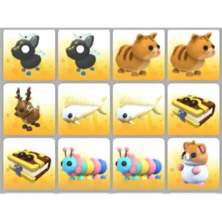 BUNDLE PET X12