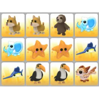 BUNDLE PET X12